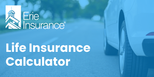 Life Insurance Calculator